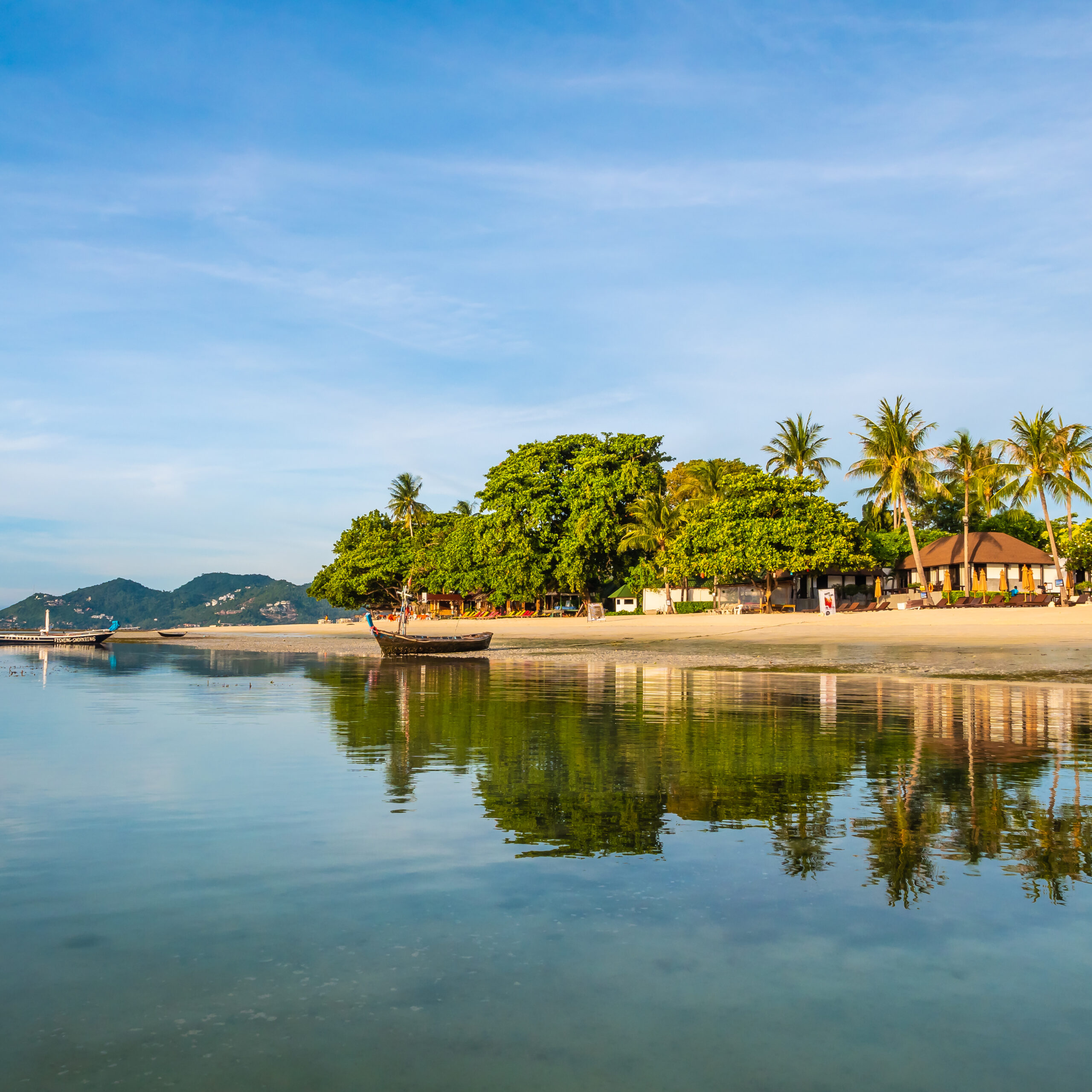 beautiful-tropical-beach-sea-with-coconut-palm-tree (2)