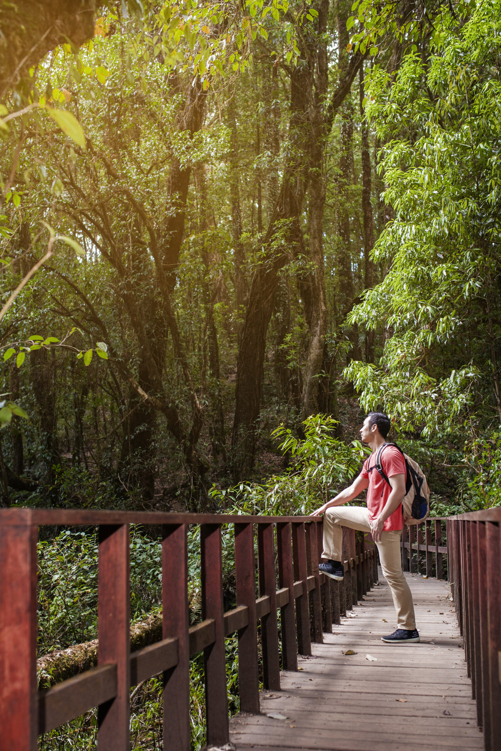 hiker-looking-old-bridge
